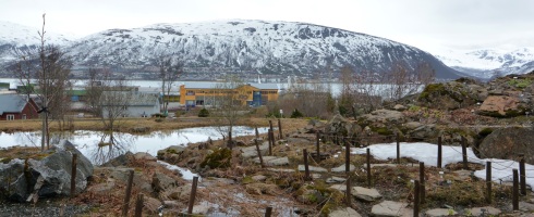 Botanical garden in Tromso, Norway